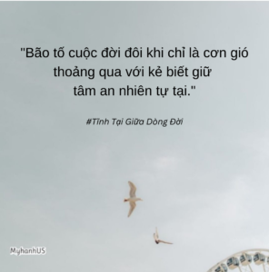 Tĩnh Tại Giữa Dòng Đời (2)