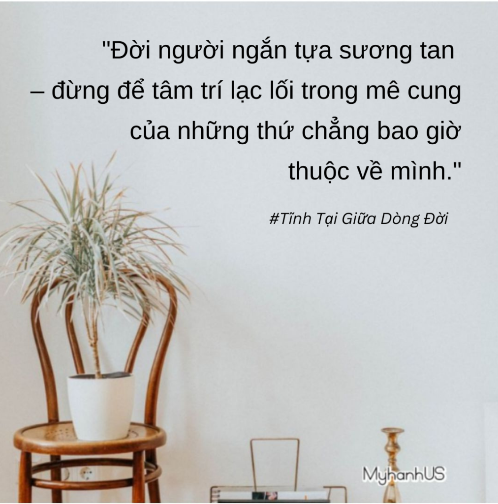 Tĩnh Tại Giữa Dòng Đời (7)